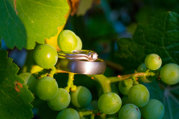Winery wedding ring ideas