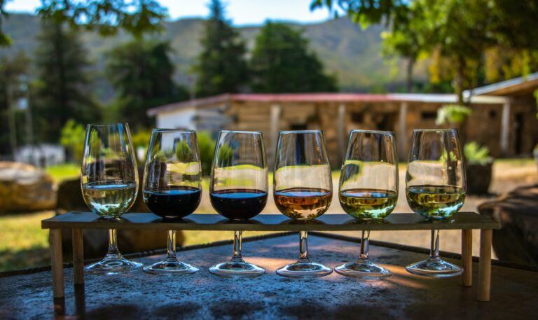 a picture that shows different glasses of wine