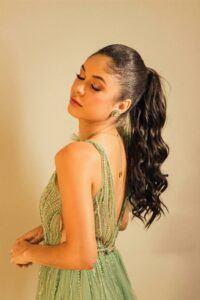 a photo of a high bridal ponytail hairstyle